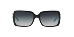 80553C - Black On Tiffany Blue / Grey Gradient