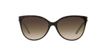 81343B - Havana On Tiffany Blue / Brown Gradient