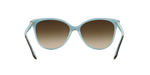 81343B - Havana On Tiffany Blue / Brown Gradient