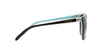 81343B - Havana On Tiffany Blue / Brown Gradient