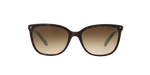 81343B - Havana / Brown Gradient