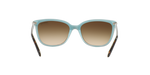 81343B - Havana / Brown Gradient