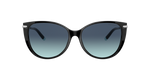 80019S - Black / Blue Gradient