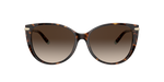 80153B - Havana / Brown Gradient