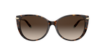 80153B - Havana / Brown Gradient