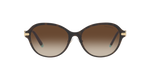 81343B - Havana On Tiffany Blue / Brown Gradient