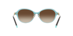 81343B - Havana On Tiffany Blue / Brown Gradient