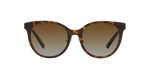 8015T5 - Havana / Polarized Brown Gradient