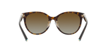 8015T5 - Havana / Polarized Brown Gradient