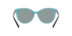 8055/1 - Black On Tiffany Blue / Dark Grey