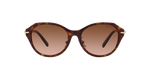 80153B - Havana / Brown Gradient