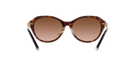 80153B - Havana / Brown Gradient