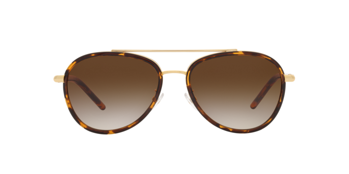 330413 - Dark Tortoise / Brown Gradient