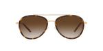 330413 - Dark Tortoise / Brown Gradient