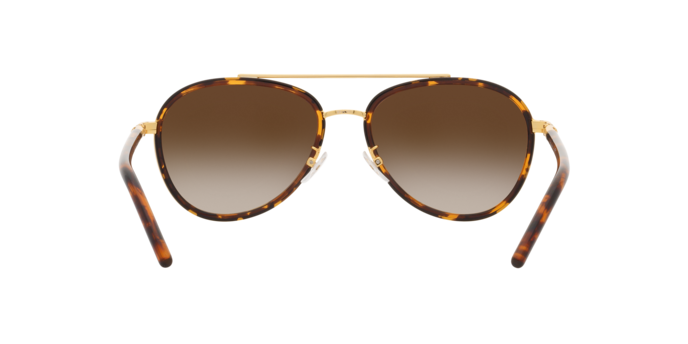 330413 - Dark Tortoise / Brown Gradient