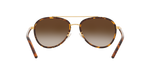 330413 - Dark Tortoise / Brown Gradient