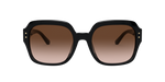 170913 - Black / Dark Brown Gradient