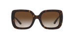 172813 - Dark Tortoise / Brown Gradient