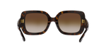 172813 - Dark Tortoise / Brown Gradient
