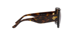 172813 - Dark Tortoise / Brown Gradient