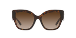 172813 - Dark Tortoise / Brown Gradient