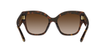 172813 - Dark Tortoise / Brown Gradient