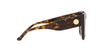172813 - Dark Tortoise / Brown Gradient