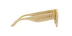 189073 - Ivory Horn / Brown