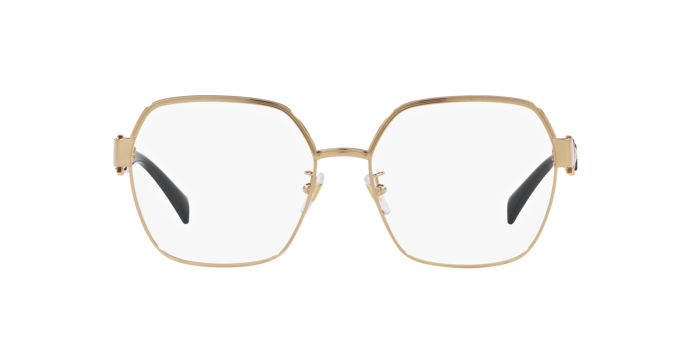 1002 - Gold / Demo Lens