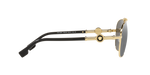 1002Z3 - Gold / Polarized Grey Mirror Silver