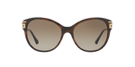 514813 - Havana / Light Dark Brown Gradient