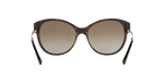 514813 - Havana / Light Dark Brown Gradient