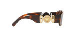 521773 - Havana / Dark Brown