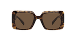 108/73 - Havana / Dark Brown