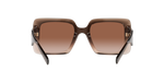 533213 - Transparent Brown Gradient / Brown Gradient