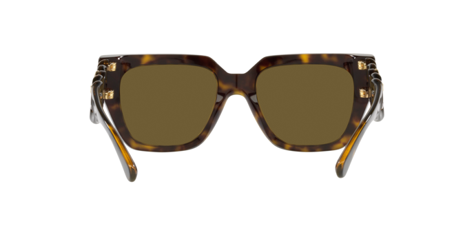 108/73 - Dark Havana / Dark Brown