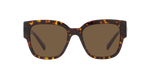 108/73 - Havana / Dark Brown
