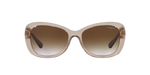 299013 - Transparent Light Brown / Brown Gradient