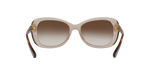 299013 - Transparent Light Brown / Brown Gradient