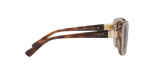 299013 - Transparent Light Brown / Brown Gradient