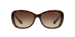 W65613 - Dark Havana / Brown Gradient