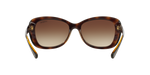 W65613 - Dark Havana / Brown Gradient