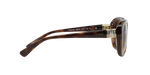 W65613 - Dark Havana / Brown Gradient