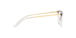 2736 - Top Gradient Brown/Crystal / Demo Lens