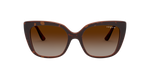 238613 - Dark Havana / Brown Gradient