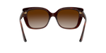 238613 - Dark Havana / Brown Gradient