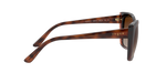 238613 - Dark Havana / Brown Gradient