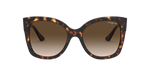 W65613 - Dark Havana / Brown Gradient
