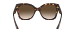 W65613 - Dark Havana / Brown Gradient
