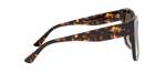W65613 - Dark Havana / Brown Gradient